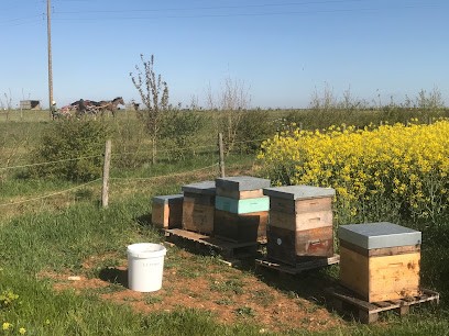 Honey De L'agapanthe, Centre de Formation à Luçon