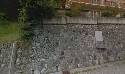 Diplôme D'etat D'auxiliaire De Puériculture, Centre de Formation à Thônes