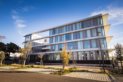 Centre De Bilan De Compétences - Service De L'apprentissage Et De La Formation Continue (Safco) Centre De Formation à Montpellier