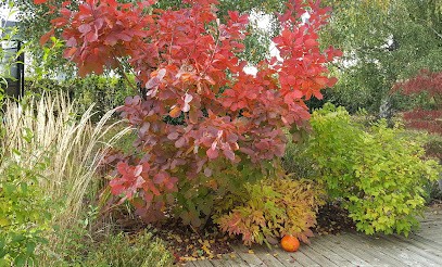 Cléome, Centre de Formation à Luynes