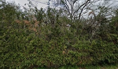Workshop De Musicothérapie, Centre de Formation à Parempuyre