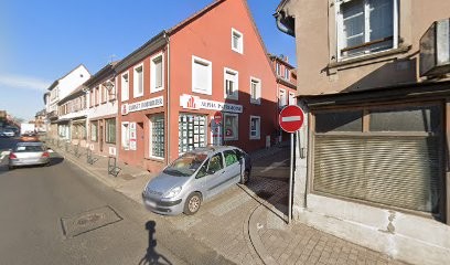 Afocal - Training Bafa Bafd, Centre de Formation à Hochfelden