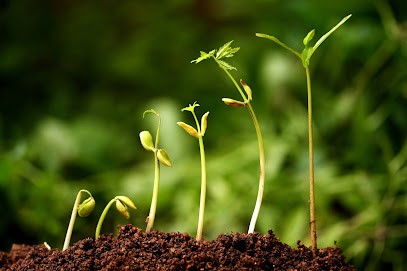 Augeo-Rh, Centre de Formation à Paris 11