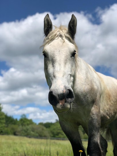 Okapis, Centre de Formation à La Sauve
