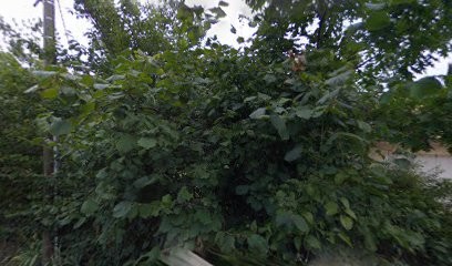 Au Fil De La Soie, Centre de Formation à Malissard