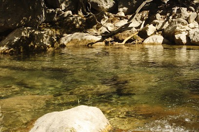 Institute Terres Des Phénix - Formation En Réfléxologie Plantaire, Palmaire Et Crâne, Centre de Formation à Six-Fours-les-Plages