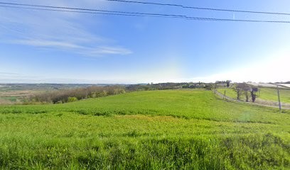 Séjours Linguistiques - Lei Formation - Langues En Immersion - Montauban - Tarn Garonne, Centre de Formation à Montesquieu