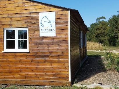 Amazines, Centre de Formation à Aigrefeuille-d'Aunis