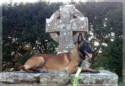 Canine Center, Centre de Formation à Cast