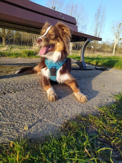 Zoopro - Training Pour Les Métiers Des Animaux, Centre de Formation à Rennes
