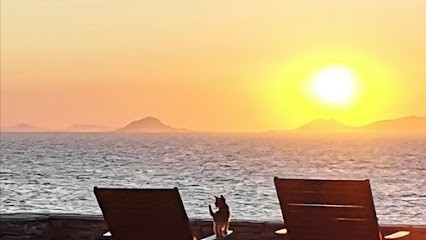 Ravissens, Centre de Formation à Paris 18