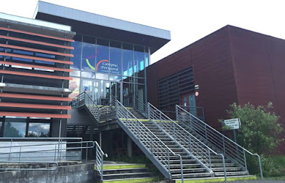 Licence Professionnelle "Management Des Activités Commerciales", Centre De Formation à Périgueux