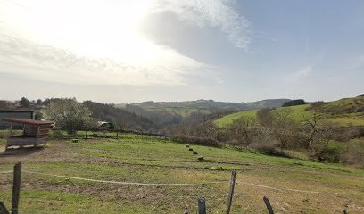 Saaf Training And Safety, Centre de Formation à Saint-Étienne