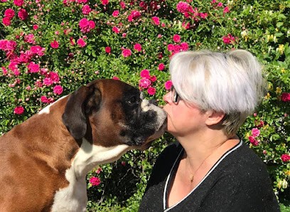 Karine Piraux « Mabochak Training », Centre de Formation à Migennes