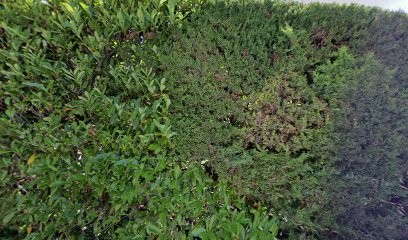 Patrick Nassi, Centre de Formation à Opio