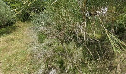 Aa Perform'commerciale, Centre de Formation à Calvisson