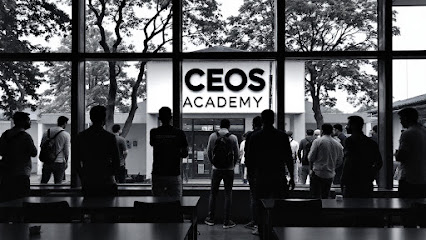 Ceos Academy Centre De Formation à Décines-Charpieu