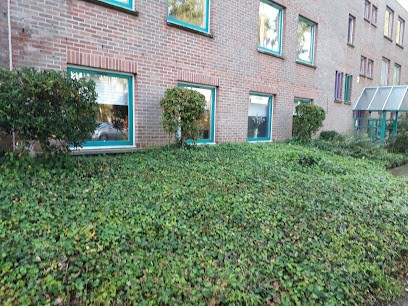 Alternative Formation, Centre de Formation à Villeneuve-d'Ascq