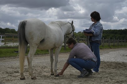 Ekivie Reims - Training Center Kinesiology À Reims, Centre de Formation à Tinqueux