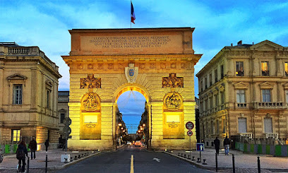 Ifsmb - Institut De Formation Systémique Montpellier Bruxelles Centre De Formation à Montpellier