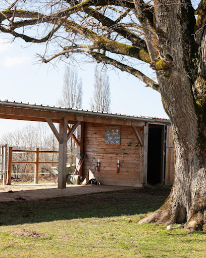 Institut Français De Zoothérapie, Centre De Formation à Velanne