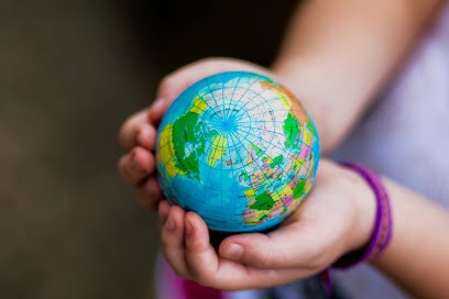 Aves Training, Centre de Formation à Saint-Étienne