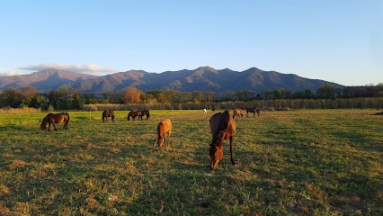 Justafré Jean Michel, Centre de Formation à Montesquieu-des-Albères