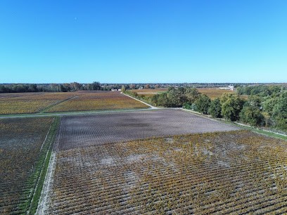 Vast Saucats Bilan De Compétences - 33650 Saucats, Centre de Formation à Saucats