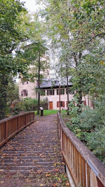 Eco-Conseil, European Institute For The Board En Environnement, Centre de Formation à Strasbourg