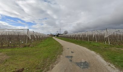 Ewis Training, Centre de Formation à Lavaur