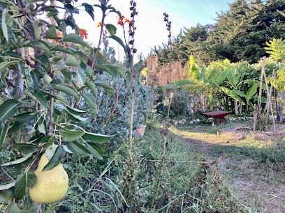 Xavier Mounier Ennéagramme, Centre de Formation à Loix