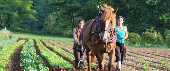 Les Jardins D'illas, Centre de Formation à Rivèrenert